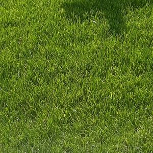 Meet your Posher, Joey